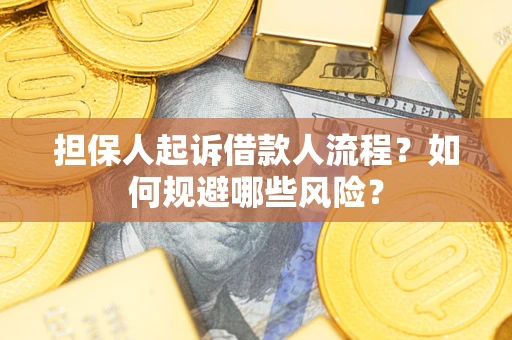 济南担保人起诉借款人流程？如何规避哪些风险？