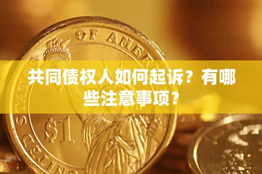济南共同债权人如何起诉？有哪些注意事项？
